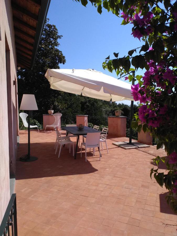 La corte di Bafè B&B Slow Life Zafferana Etnea Esterno foto